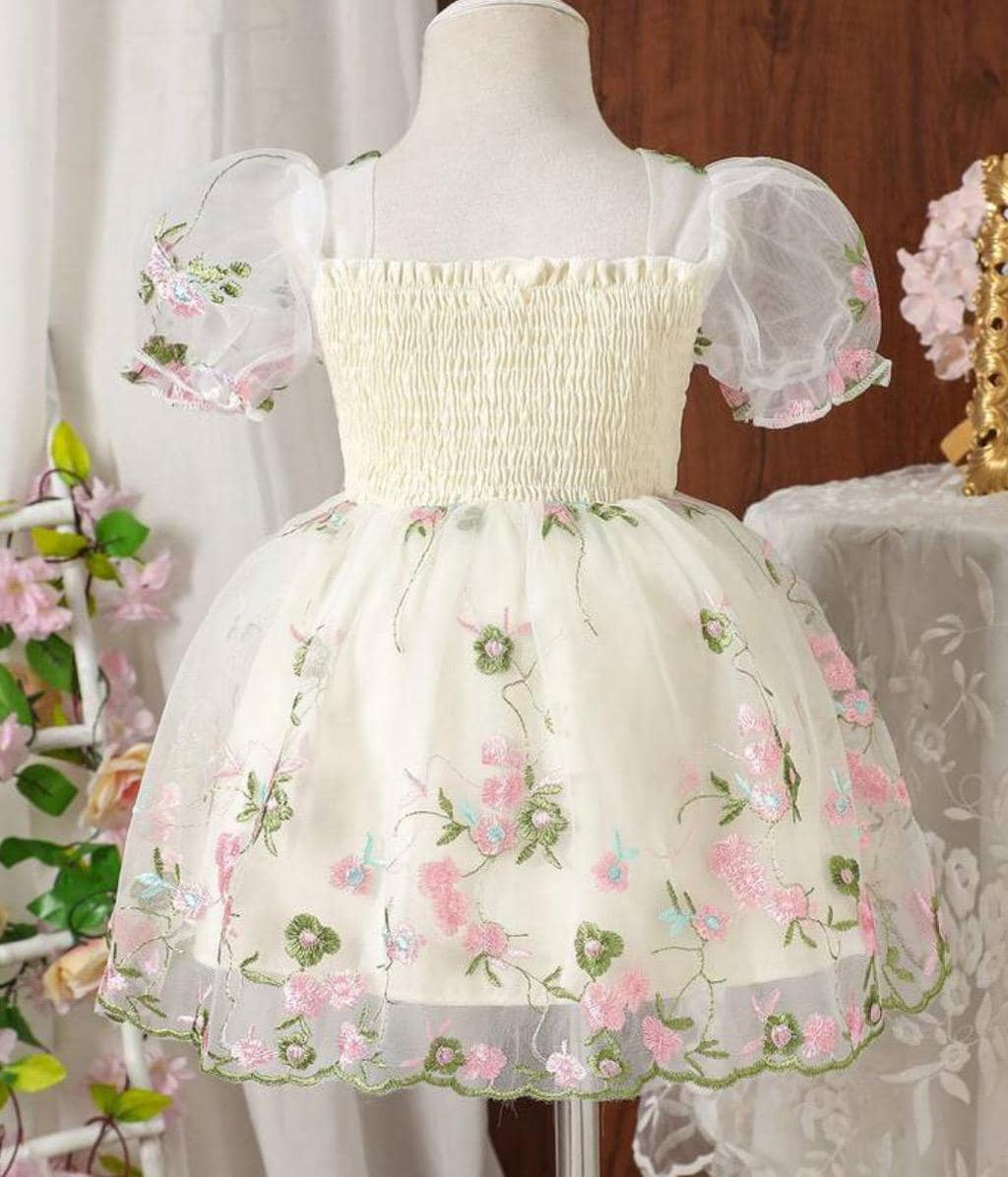 Fairy Birthday Dress with Custom Name for girls in apricot embroidered mesh