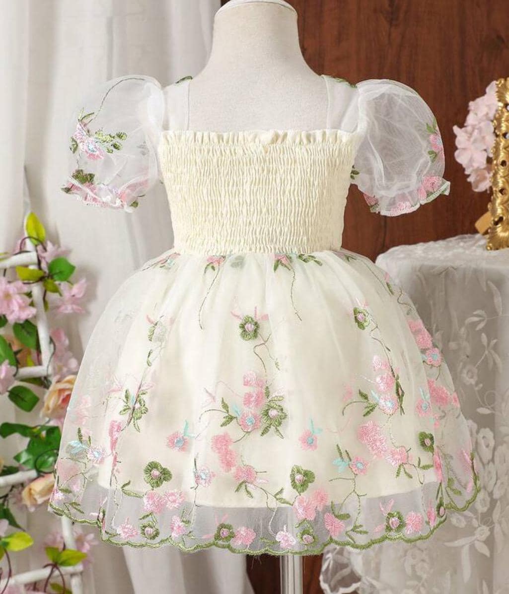 Fairy Birthday Dress with Custom Name for girls in apricot embroidered mesh