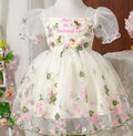 Fairy Birthday Dress with Custom Name for girls in apricot embroidered mesh